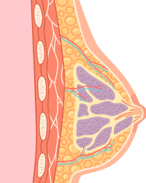 breast