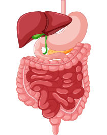 gastro