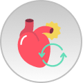 Heart Procedures