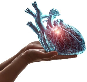 Discover Highly Qualified Surgeons and State-of-the-Art Hospitals